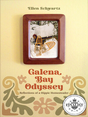 cover image of Galena Bay Odyssey